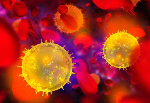 世界卫生组织对新型冠状病毒命名是什么?