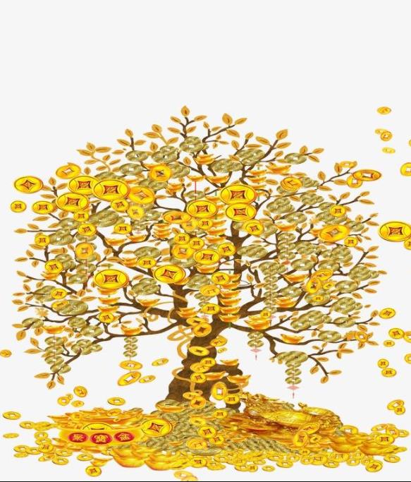 被称为摇钱树的是什么树?真实摇钱树的图片大全