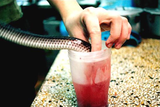 蛇血可以生喝吗？毒蛇血可以直接喝吗？