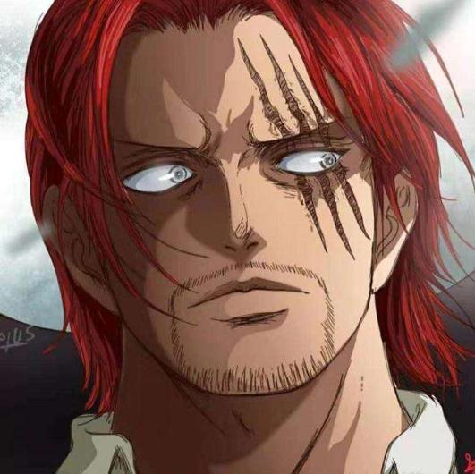 海贼王人物介绍大全及能力_知识驿站 海贼王人物介绍大全及能力