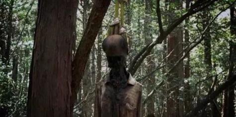 世界上最恐怖的自杀森林:自杀者圣地日本青木原森林