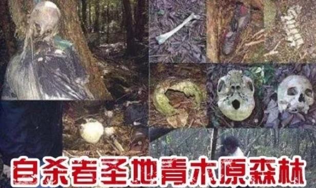 世界上最恐怖的自杀森林:自杀者圣地日本青木原森林