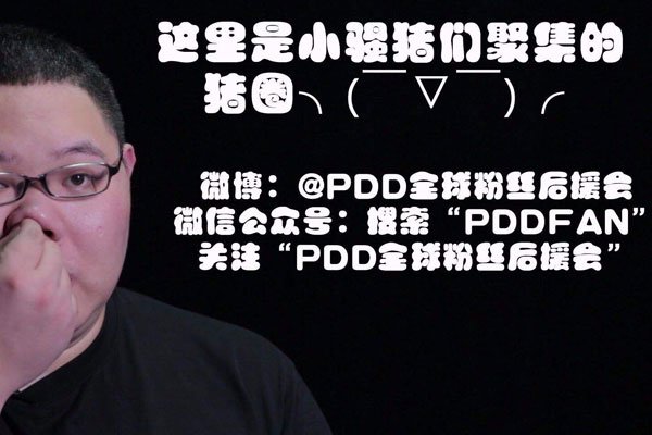 PDD和小马是什么关系?揭秘小马为什么被PDD开除?