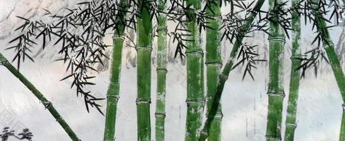 竹子可以比喻人的什么品格?可以把竹子比喻成什么人?