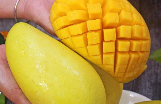 芒果一天吃五六个会怎么样 芒果吃起来粉粉的是怎么回事