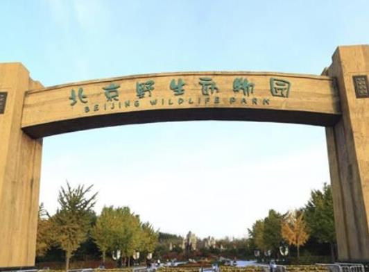 中国最受欢迎的十大动物园，北京动物园、广州长隆野生动物世界很有名