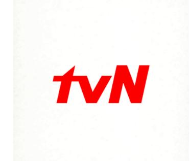 TVN是怎样的一个电视台，TVN简介