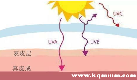 uva是什么意思啊，uva和uvb，uvc的区别
