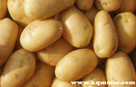 马铃薯100g营养成分表，马铃薯的营养成分