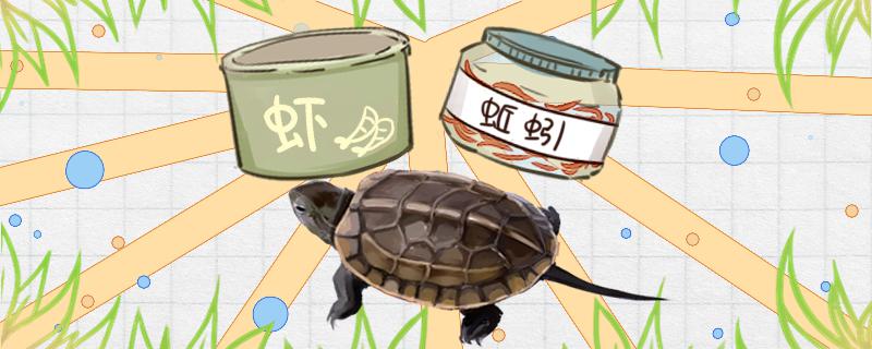 草龟不吃龟粮是怎么回事，怎么办