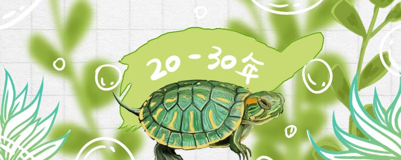家养的巴西龟寿命多长，怎么养才能活得久