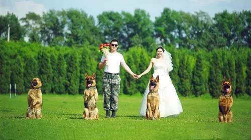 军婚备婚攻略分享 如何挤出时间来举办婚礼