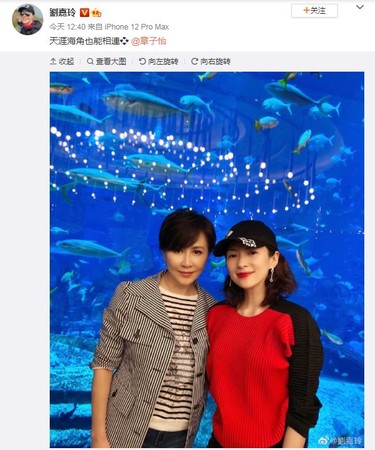 刘嘉玲合影国际级影后章子怡 同框甜笑泄仙气
