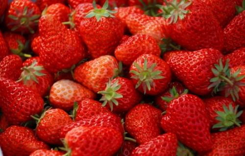 草莓什么季节成熟，5月份成熟！
