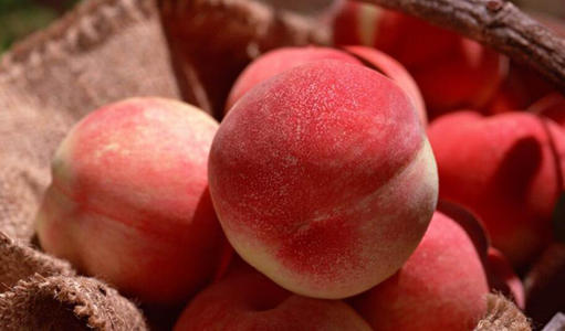 桃子是热性还是凉性？桃子不能和什么同食？