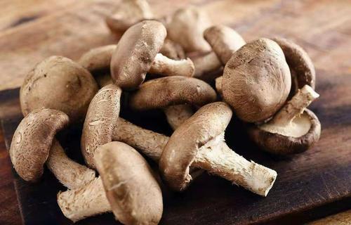香菇的功效，香菇的营养价值有哪些？