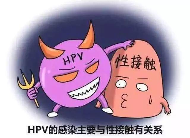 HPV是怎么感染上的，要通过直接或间接接触污染物品感染！
