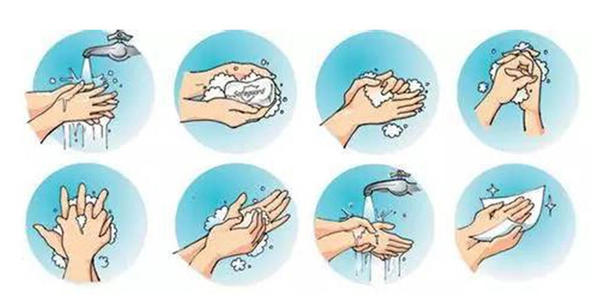 七步洗手法的步骤，能够更有效地清除手部病菌！