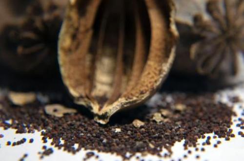 罂粟壳有什么作用？罂粟壳的功效有哪些？