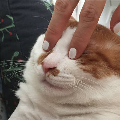 生活很苦的正能量句子 生活很苦但你要甜句子