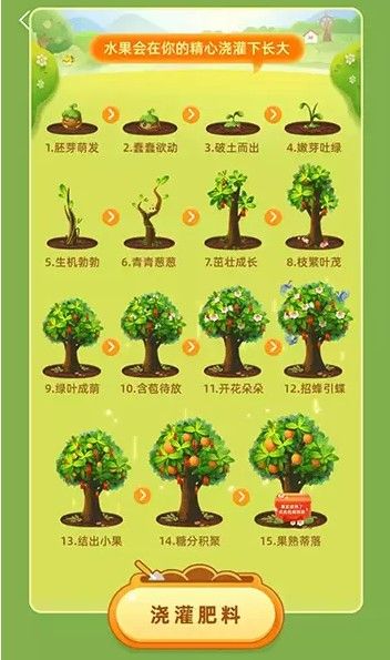 芭芭农场种水果几个阶段？芭芭农场合种快还是个人种快？[多图]