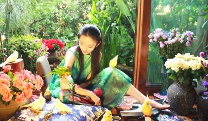 杨丽萍年轻照片，实在就像是个仙女一样！