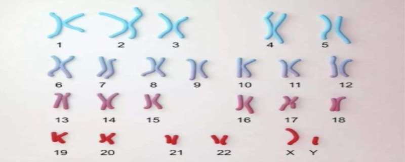 XXY染色体什么病 XXY染色体是什么原因导致的