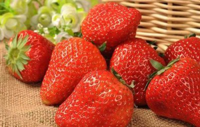 牛奶草莓是用牛奶灌溉的吗，有误导消费者的嫌疑