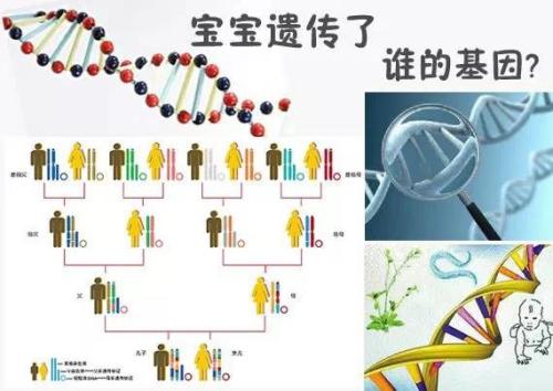 只有女儿算是绝户吗？那要看从什么角度来看！