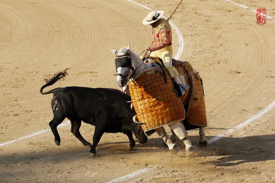 西班牙为什么叫板鸭国？西班牙斗牛的由来起源