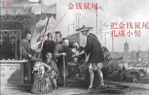 清朝人为什么留辫子？历史上真正的清朝男人发型图片（暴丑）