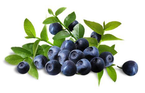 为什么蓝色的水果很少，是自然选择的结果